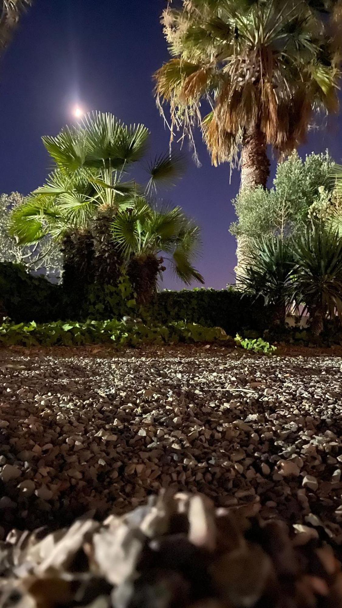 Monte Da Lagoa アルチュラ エクステリア 写真